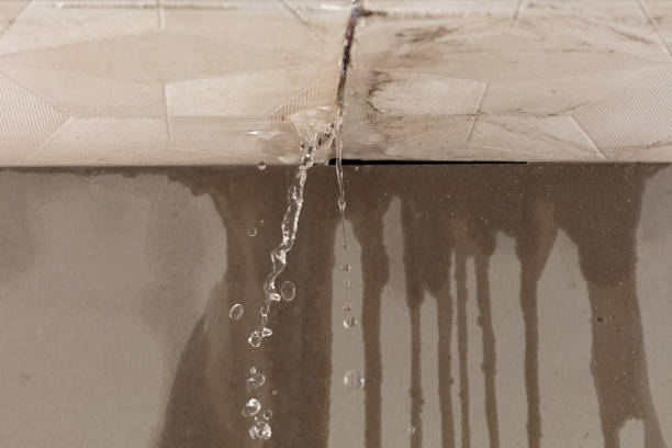 Professional Water Damage Repair technician working in Jamestown, NY